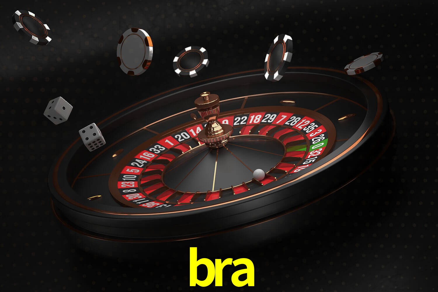 bra